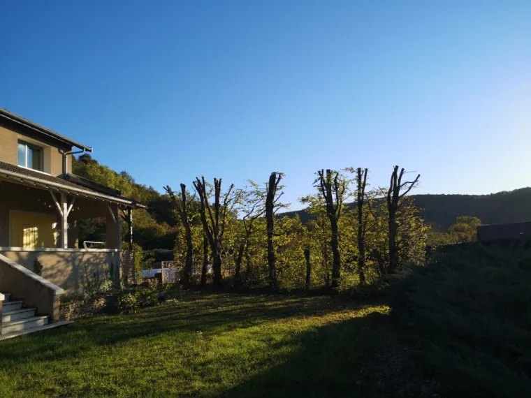 Reduction de charmille , Villemoirieu, GREEN ZONE