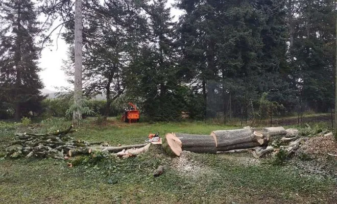 Vente de bois de chauffage sec à Villemoirieu - GREEN ZONE