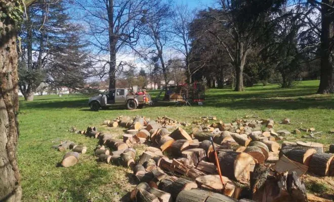 Vente de bois de chauffage sec à Villemoirieu - GREEN ZONE