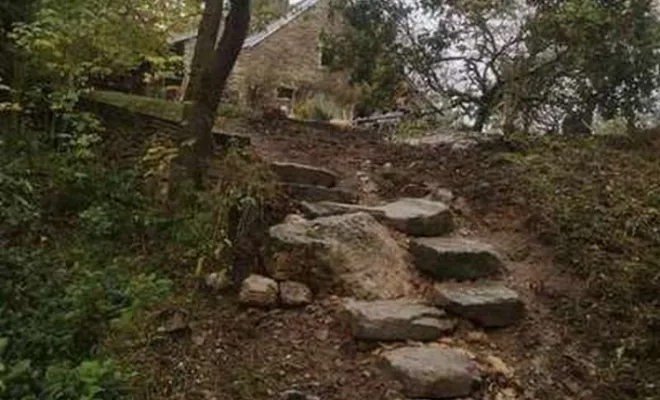 Réalisation de débardage forestier à Villemoirieu - GREEN ZONE
