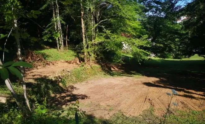 Réalisation de débardage forestier à Villemoirieu - GREEN ZONE