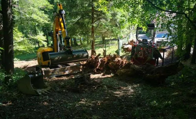 Réalisation de débardage forestier à Villemoirieu - GREEN ZONE