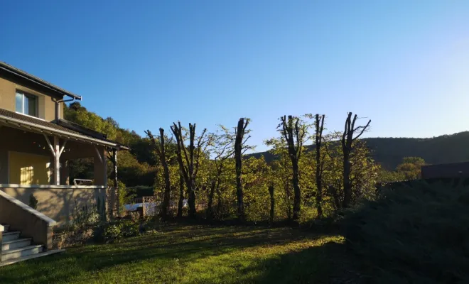 Reduction de charmille , Villemoirieu, GREEN ZONE